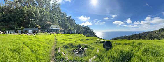Bild von einer grünen Wiese und blauen Himmel auf Madeira unweit des Arambha Eco Village
