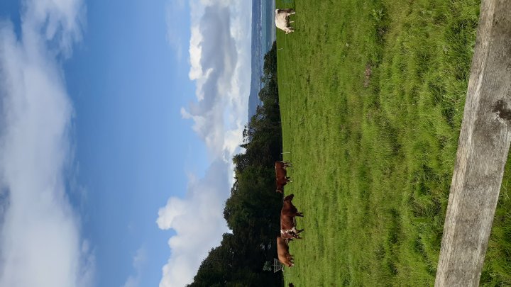 Camphill Community Glencraig