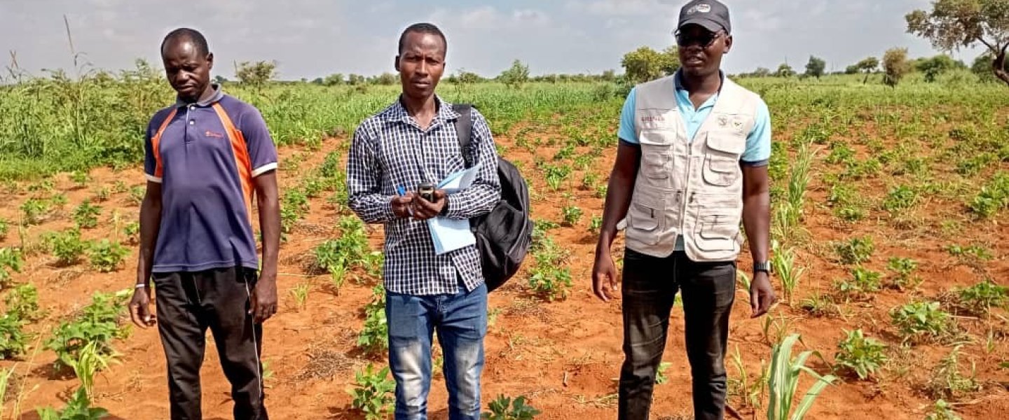 Niger Partnerorganisation ASV bei der Feldbegehung