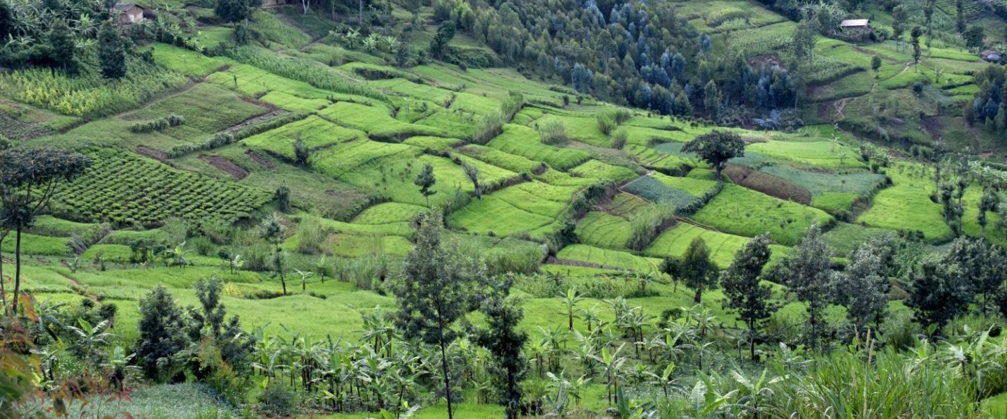 Landschaft Burundi