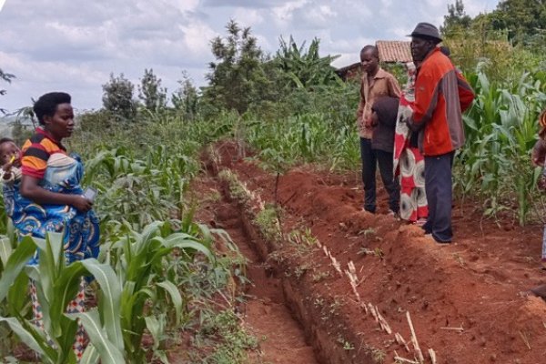 Burundi, Erosionsschutz